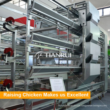 Novo design e baixo preço gaiola de galinha no mercado da África